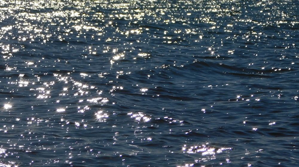 Photograph by Сергей Чеченов