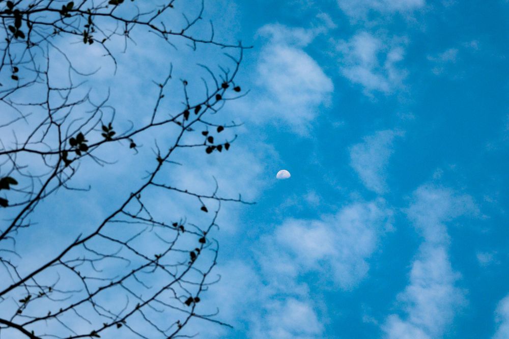 Фотография автора Debapriya Dasgupta