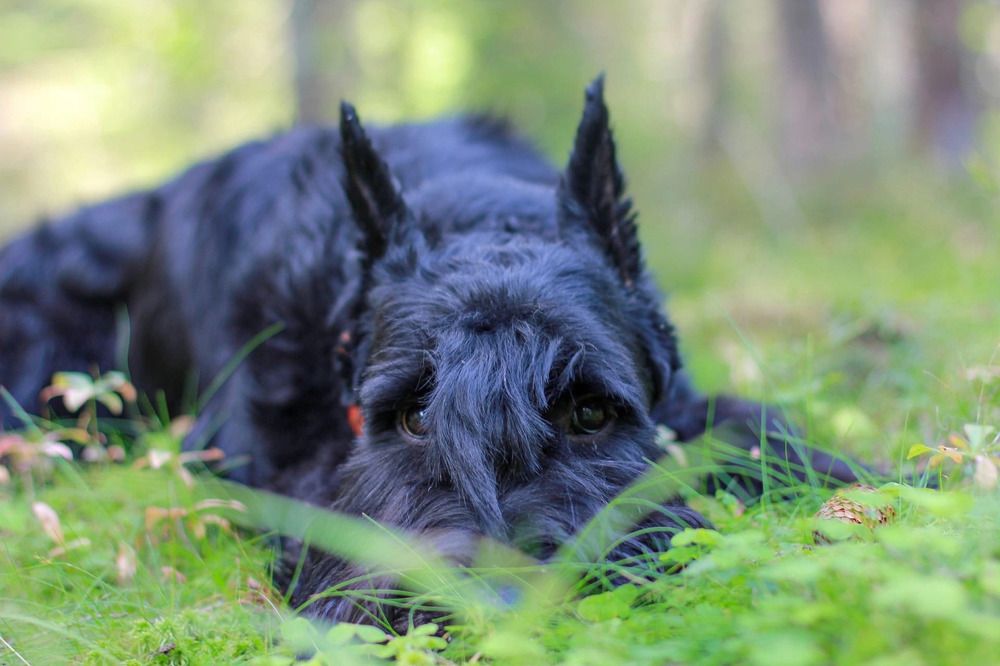 Photograph by Елена Данченко