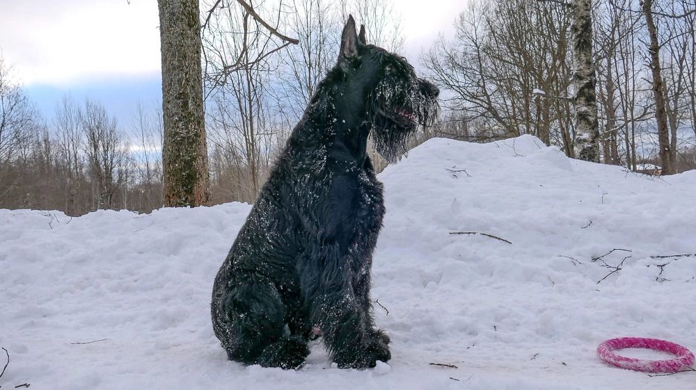 Photograph by Елена Данченко