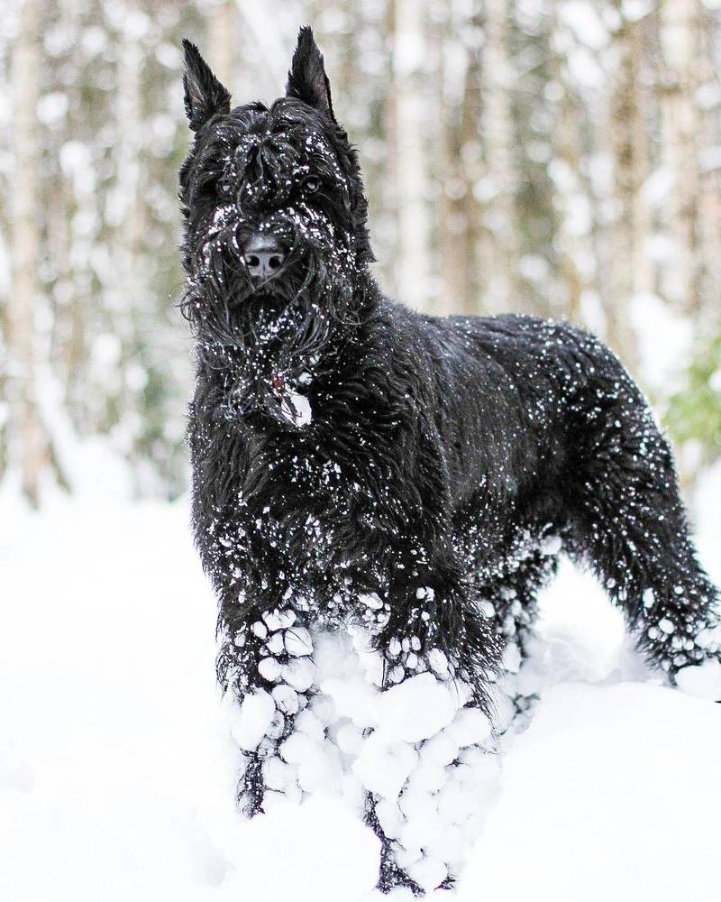 Photograph by Елена Данченко