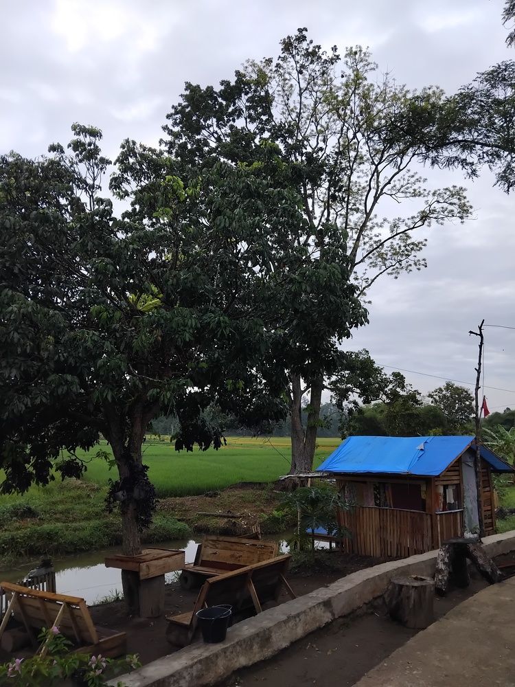 A Hut with Blue roof