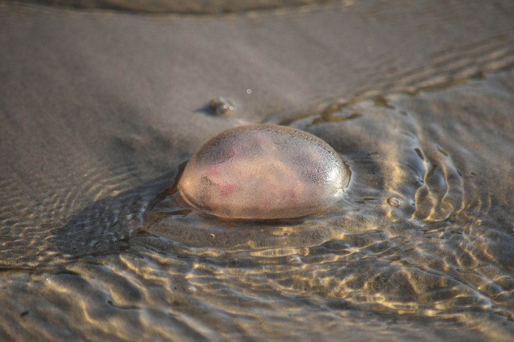 Photograph by Инна Сенкевич