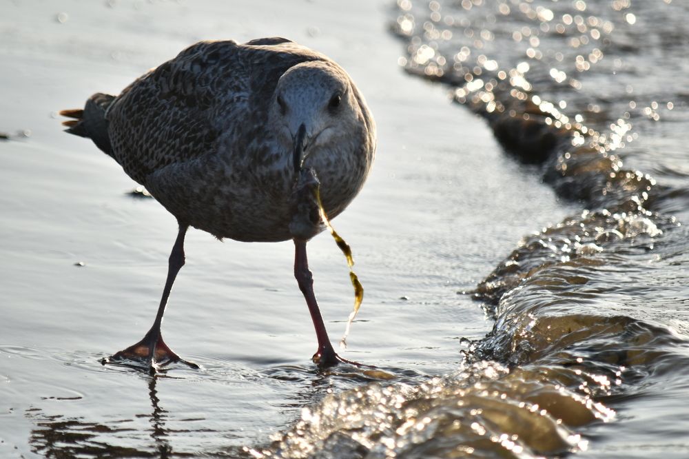Photograph by Инна Сенкевич