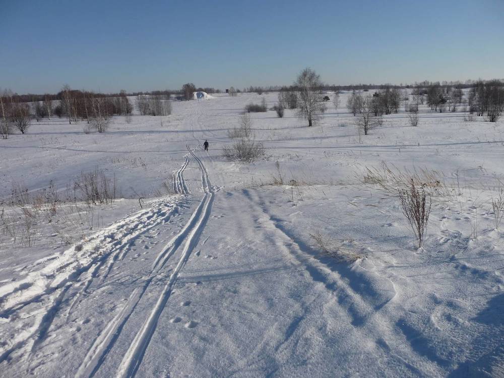 Фотография автора Клавдия Васильева
