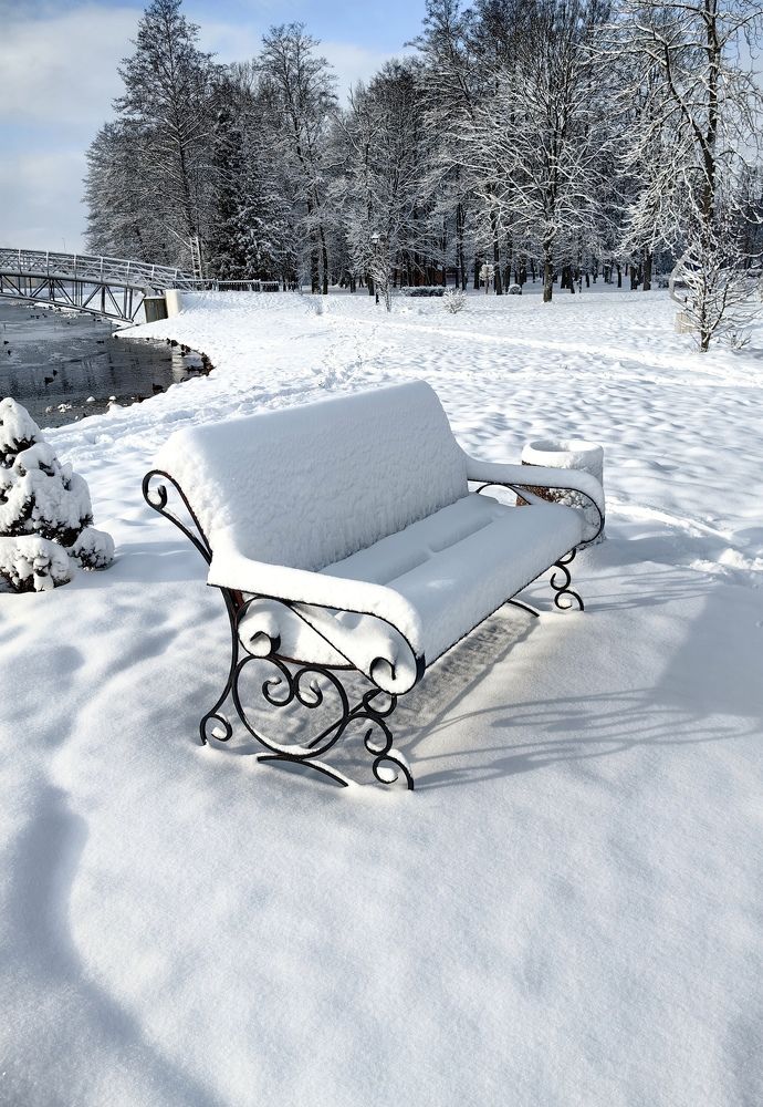 Фотография автора Ирина Петрукович