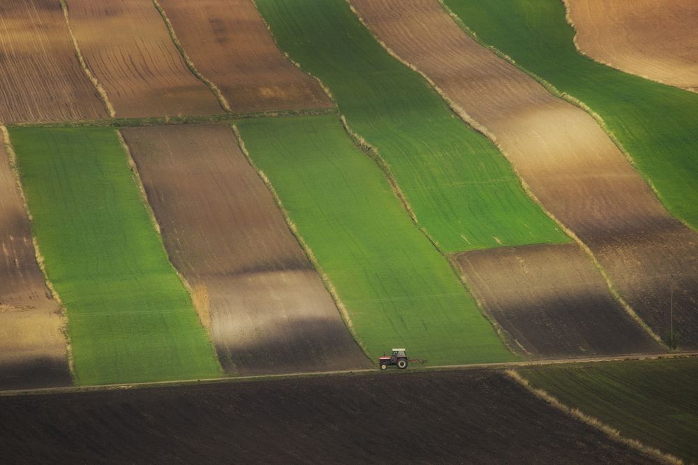 Photograph by Damian Cyfka