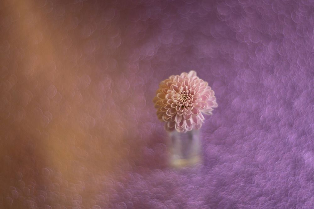 Photograph by Бакбак Тата