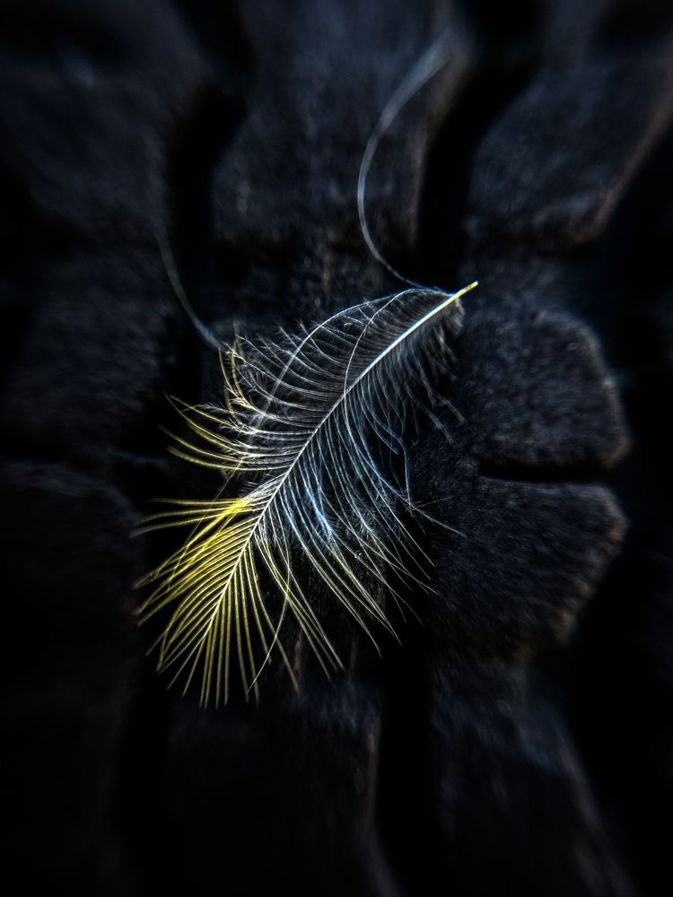 Photograph by Анна Пигулевская