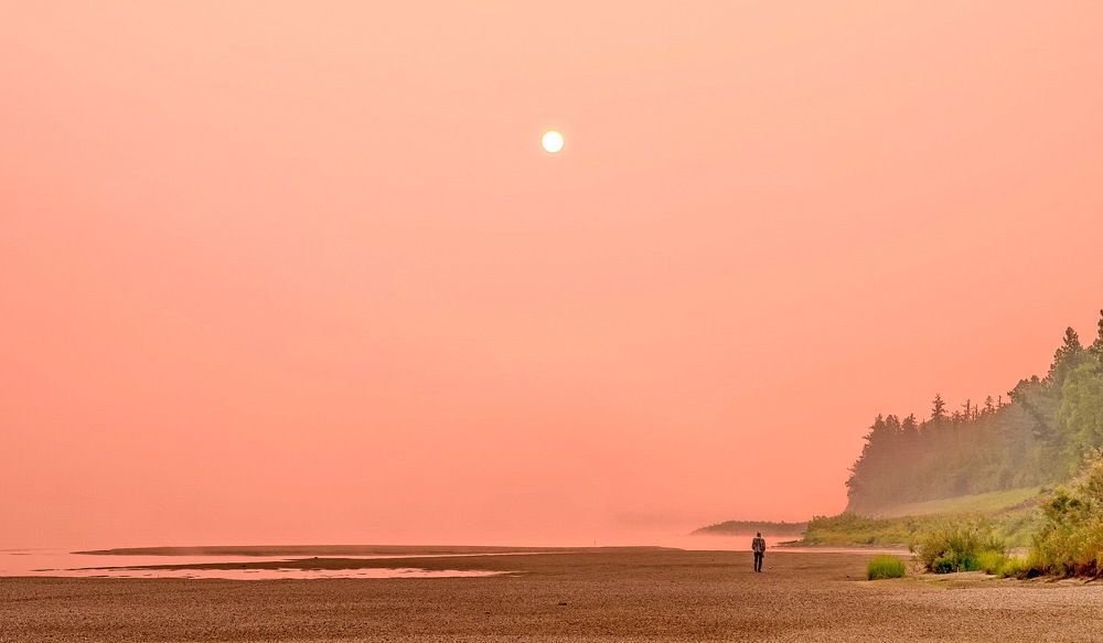 Photograph by Смирнов Валерий