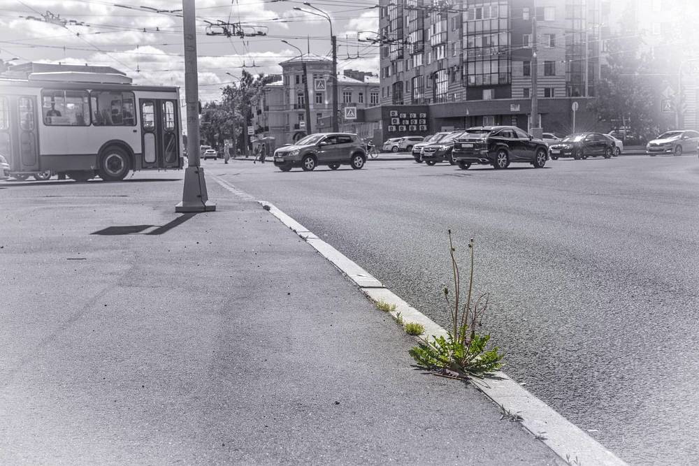 Photograph by Смирнов Валерий