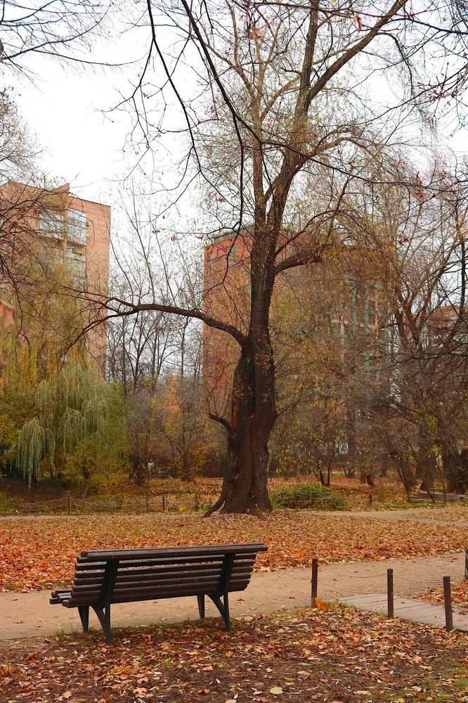 Photograph by Гагик Саркисян