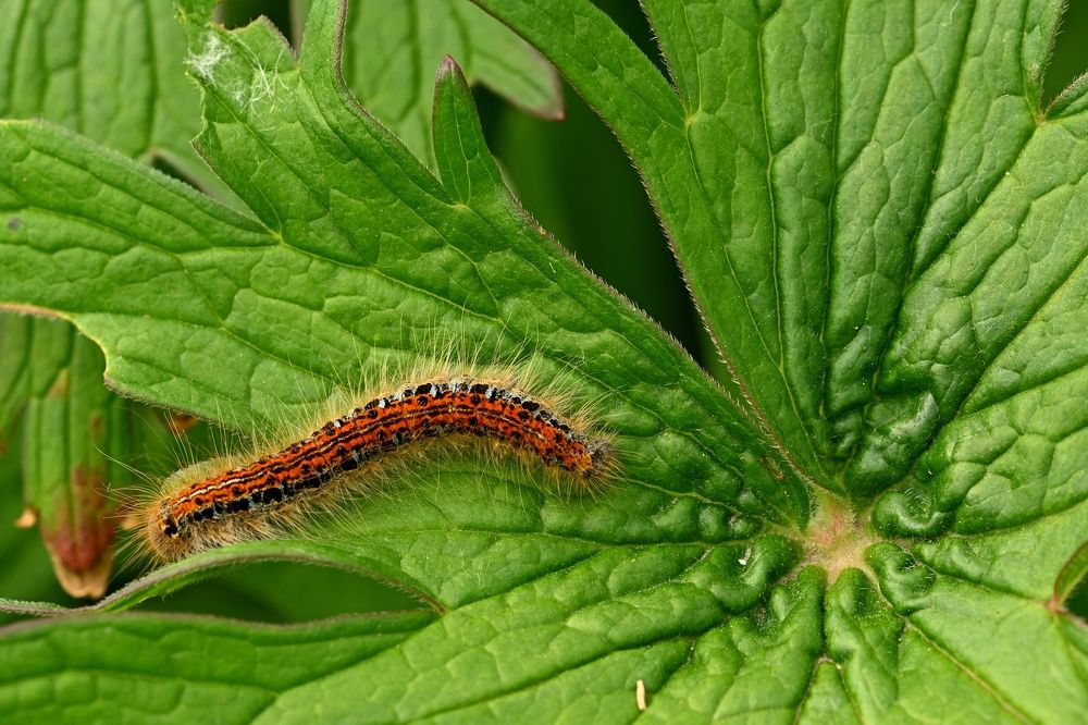 Photograph by Алексей Гордеев