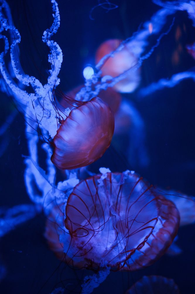 Photograph by Yanina Bykouskaya