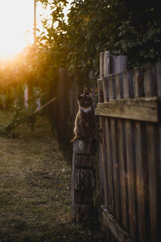 Photograph by Татьяна Алкарева Горшкова