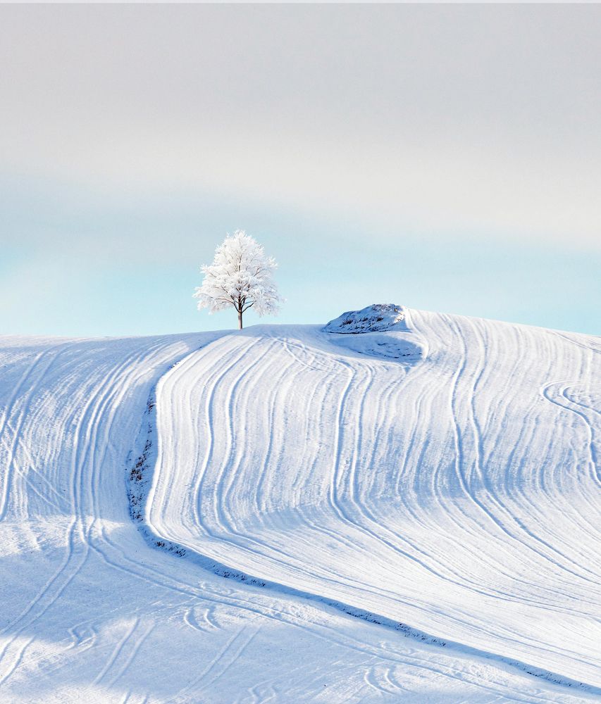 Photograph by Noureddine Belfethi