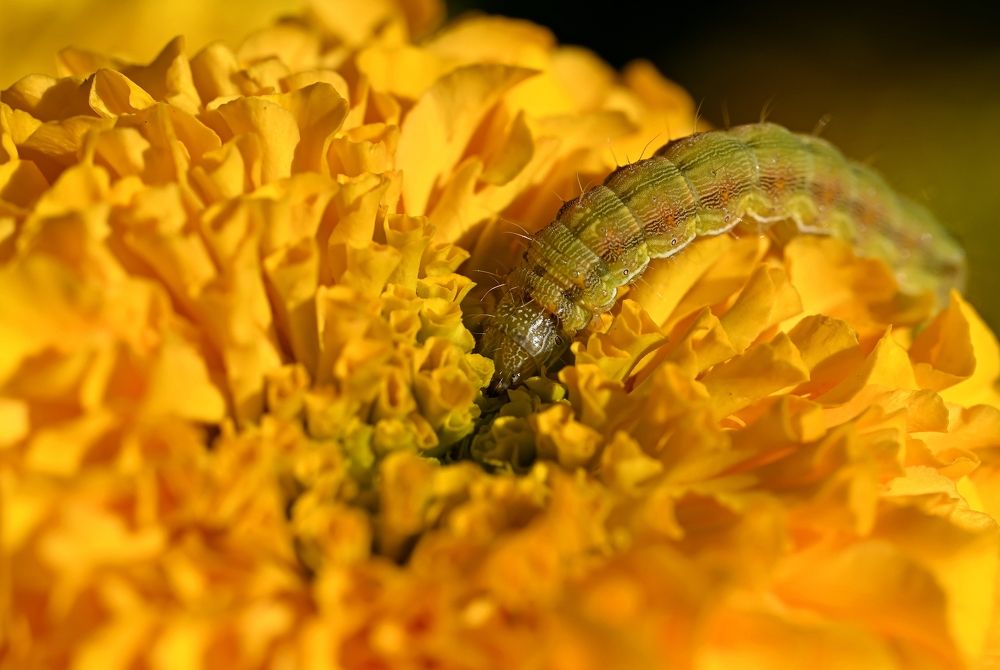 Photograph by Алексей Гордеев