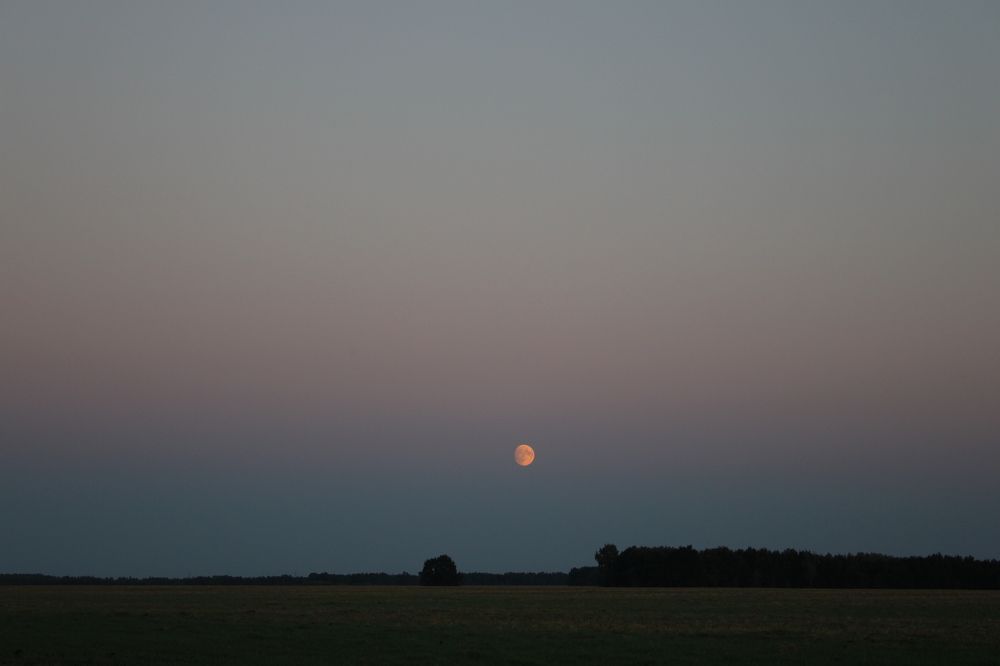 Photograph by Елена Коробченко