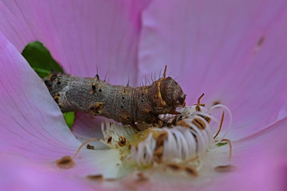 Photograph by Алексей Гордеев