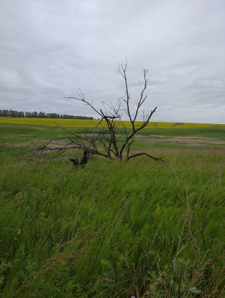 Photograph by Елена Коробченко