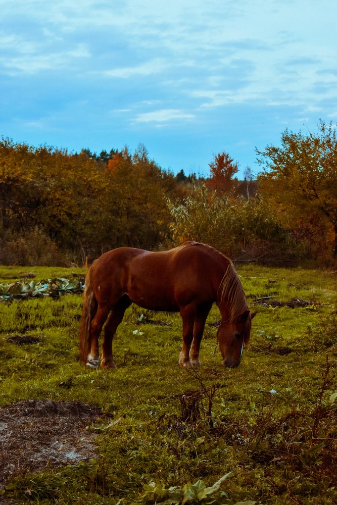 Photograph by Олеся Бронзова