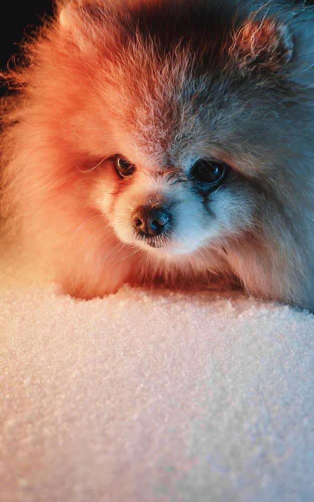 Фотография автора Andrey Yakushev