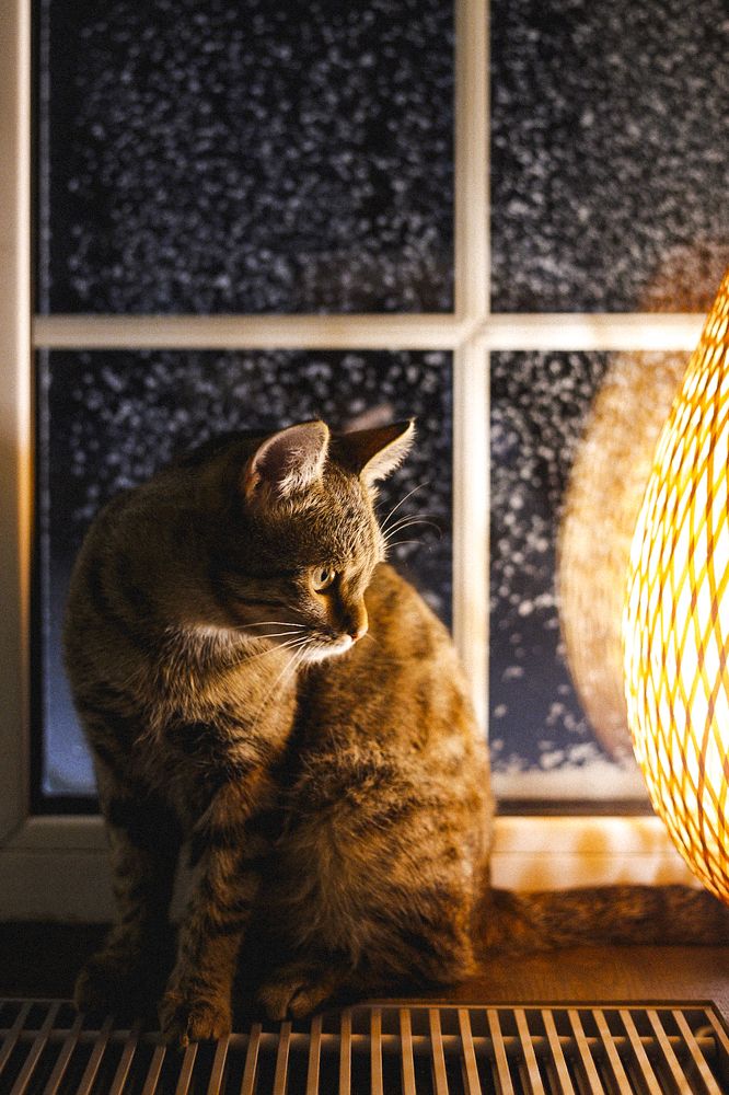 Photograph by Татьяна Алкарева Горшкова