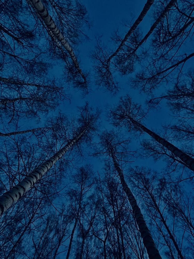 Photograph by Татьяна Мустафина