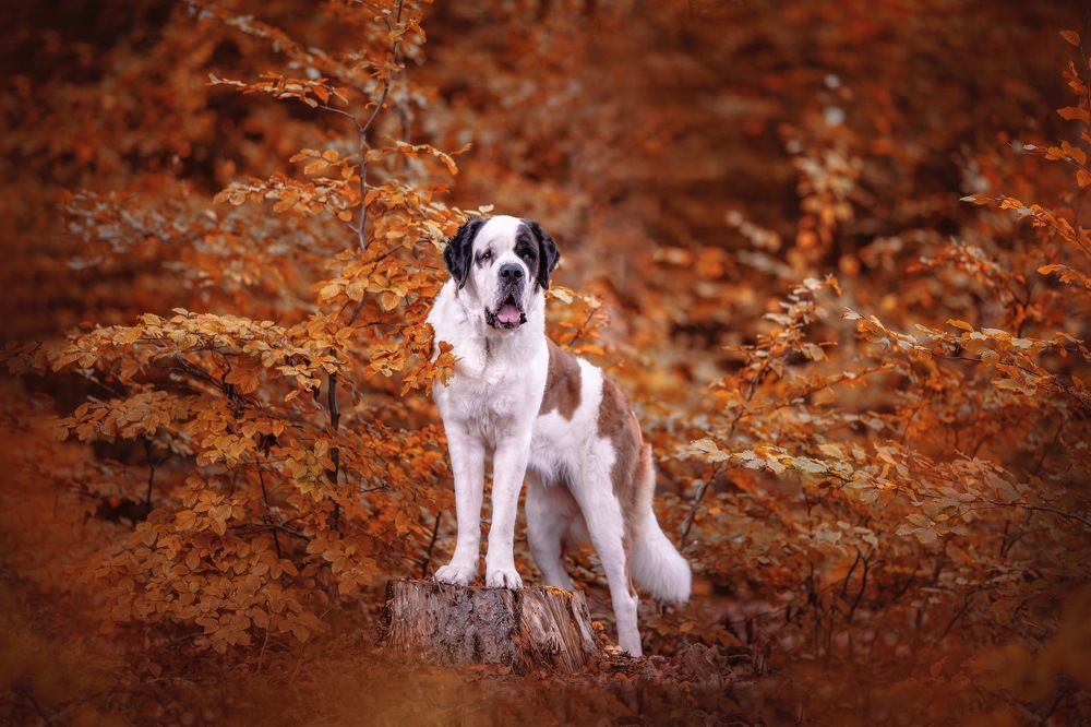 Photograph by Karoline Palme