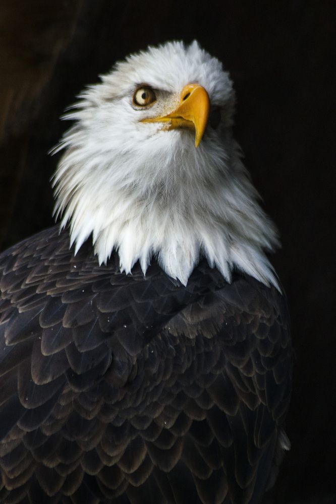 Photograph by Pere Arnaldo