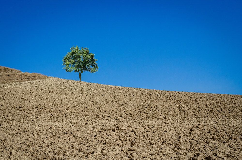 Фотография автора Mohammad Mohammadpour