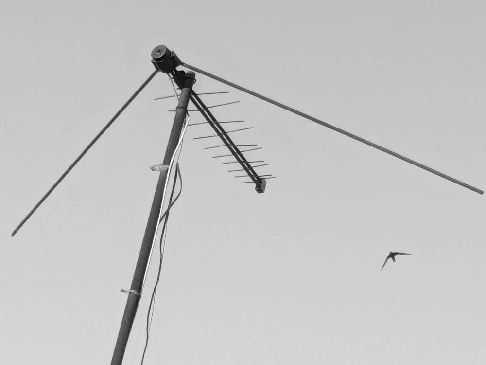 Photograph by Наталья Кириллова