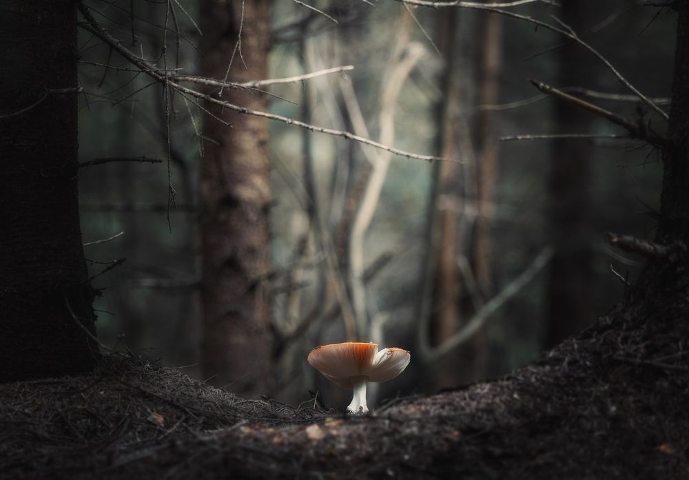 Photograph by Мозжухин Максим