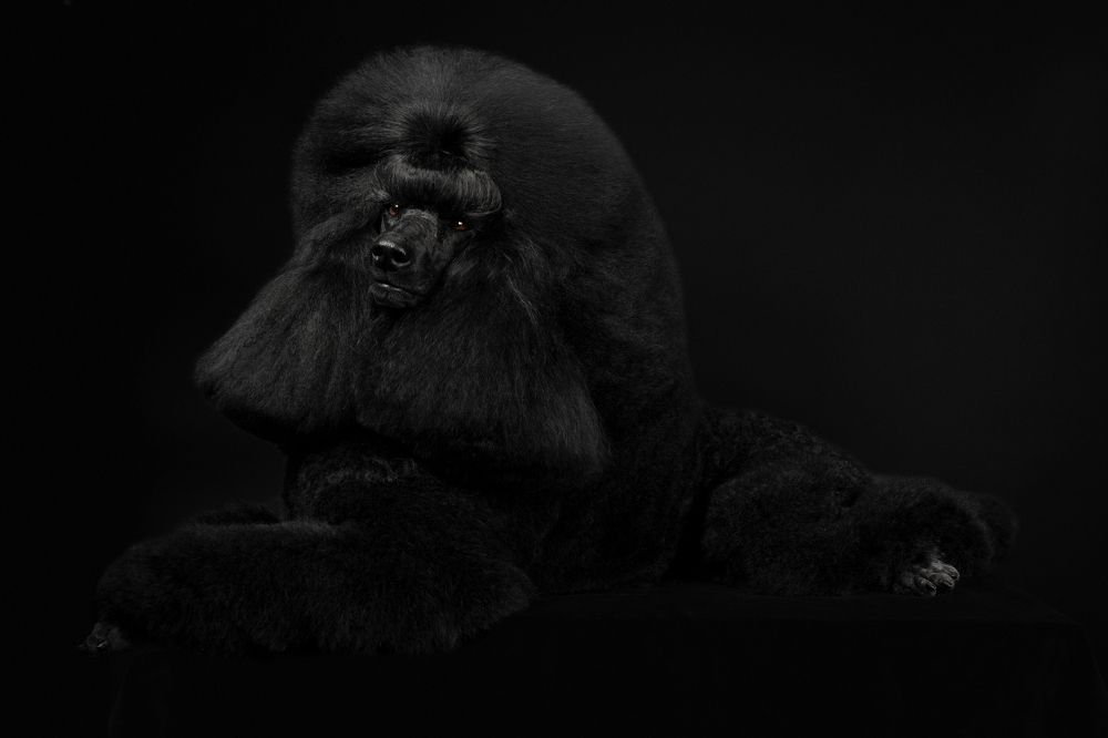 Photograph by Ляйс Наталья