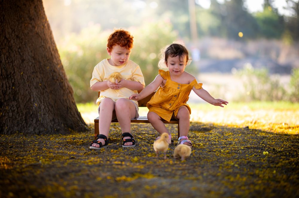 Photograph by Yahav Shafir