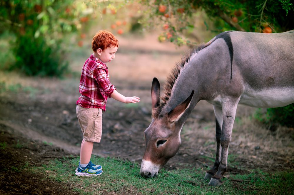 Photograph by Yahav Shafir