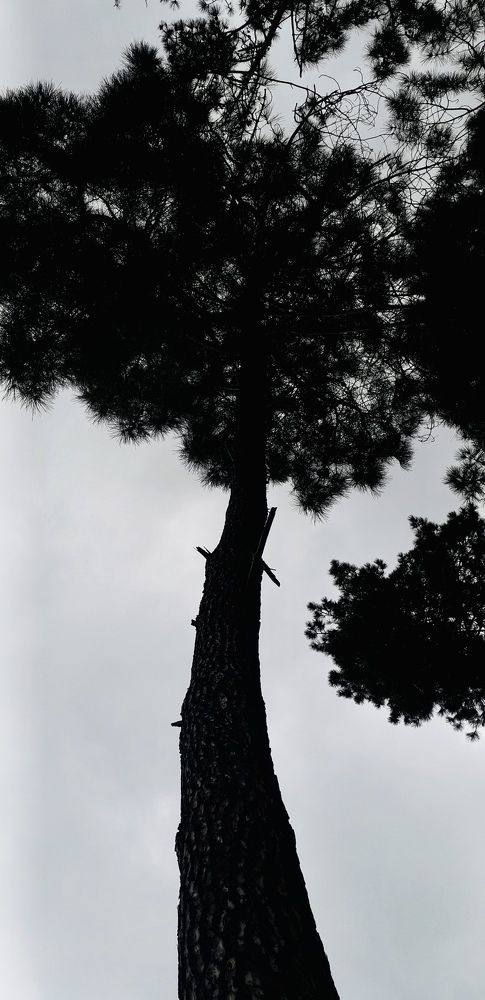 Photograph by Светлана Соколова