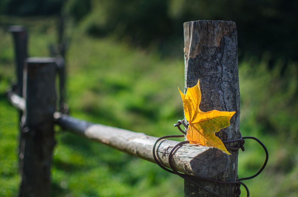 Photograph by Ольга Новикова