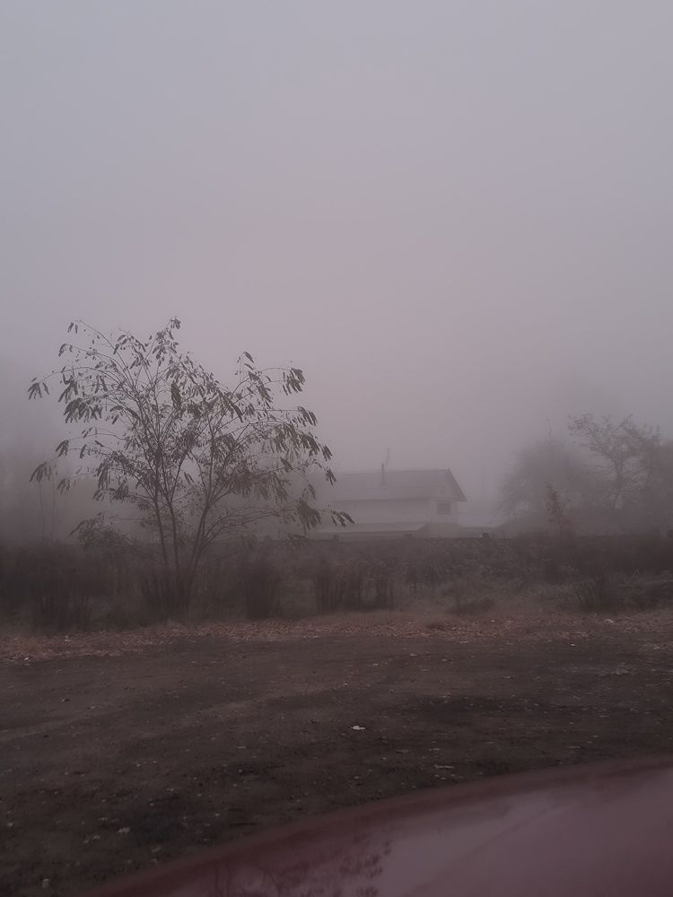 Photograph by Юлия Бурминская