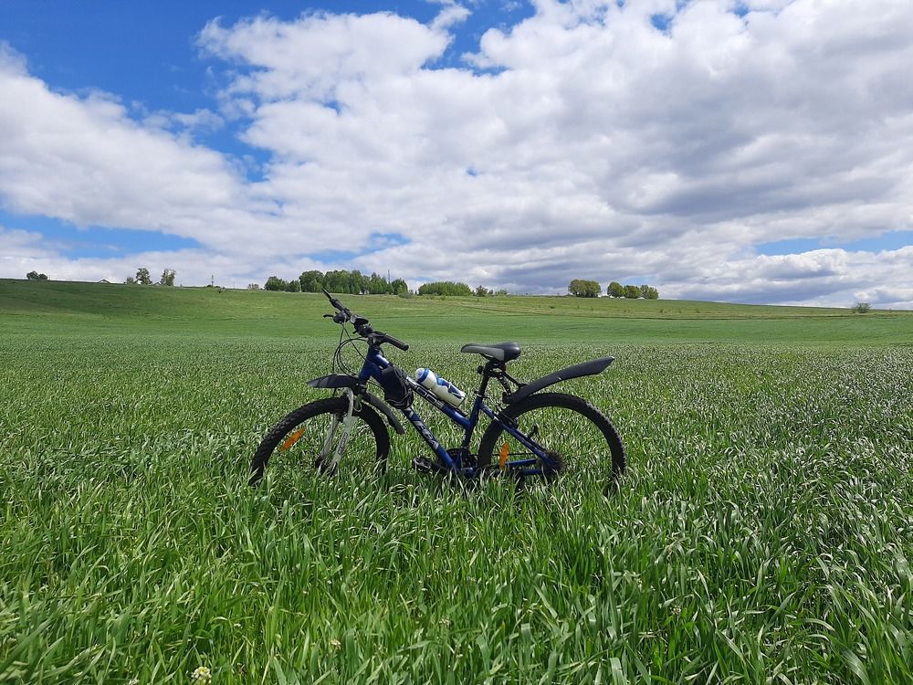 Photograph by Курчина Вероника