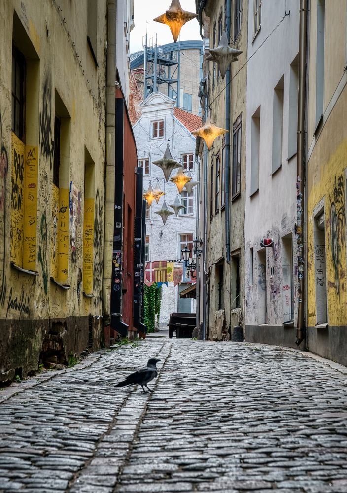 Photograph by Albina Kulikova