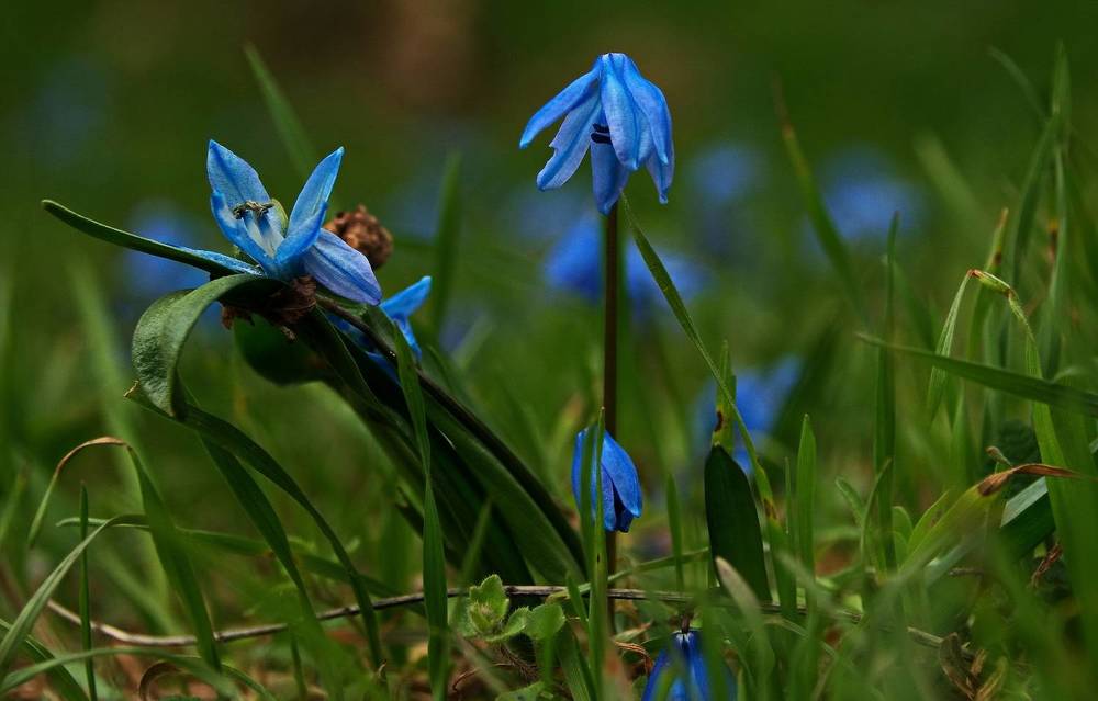 Photograph by Александр