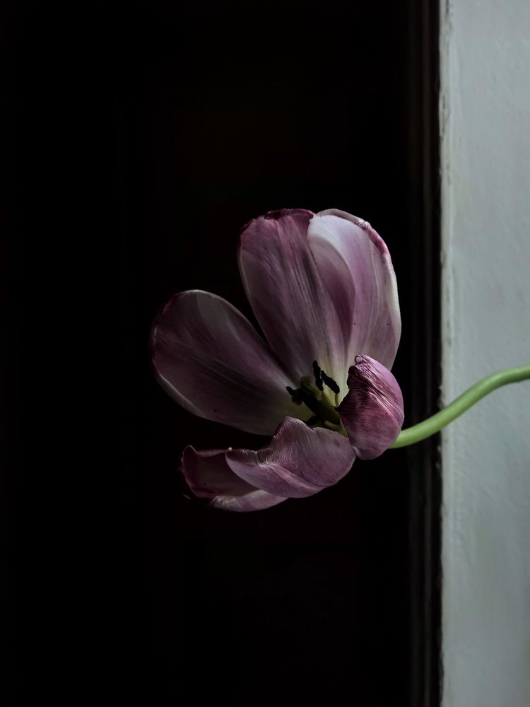 Photograph by Людмила Евстратова