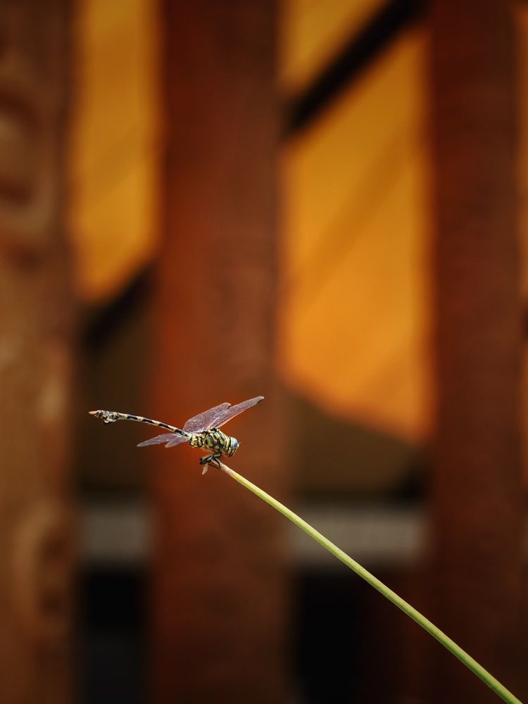 Photograph by Людмила Евстратова