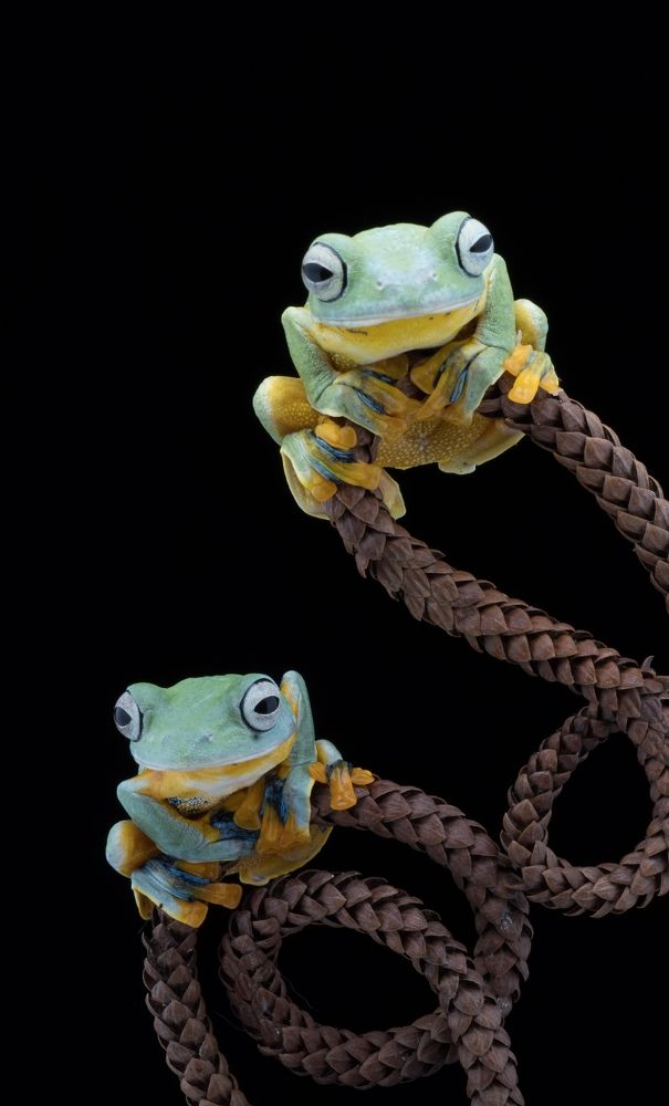 Photograph by Sri Kusumastuti