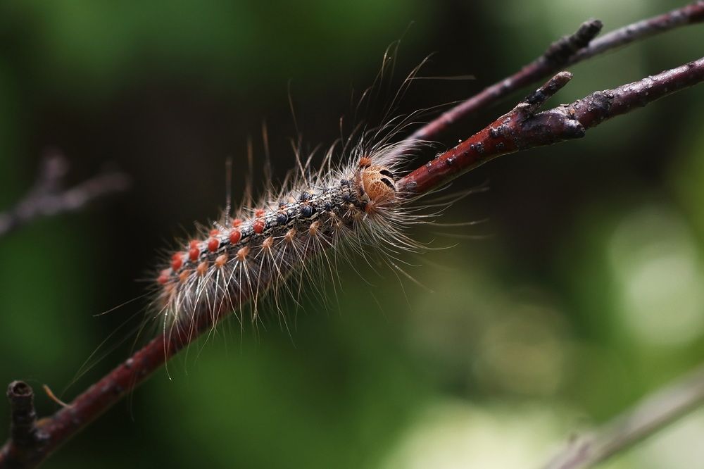 Photograph by Юрий Кольцов