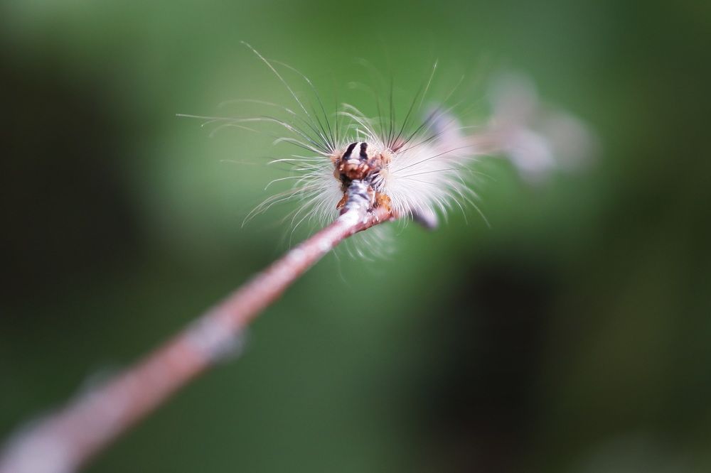 Фотография автора Юрий Кольцов