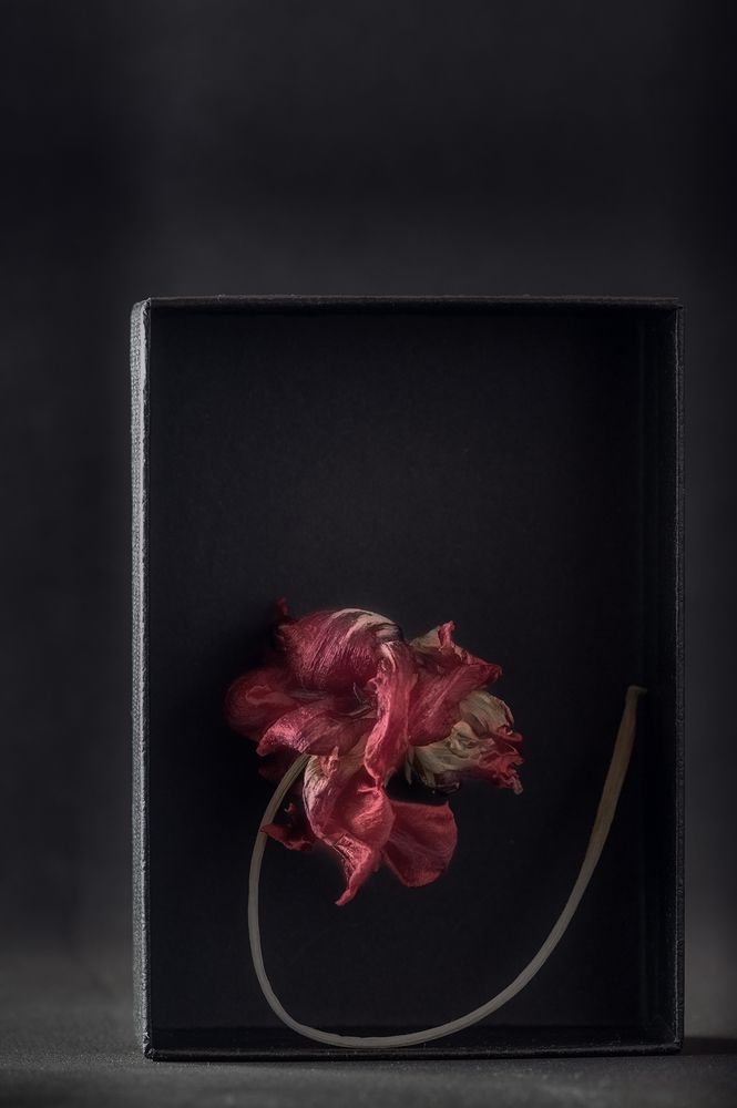 Photograph by Елена Амозова