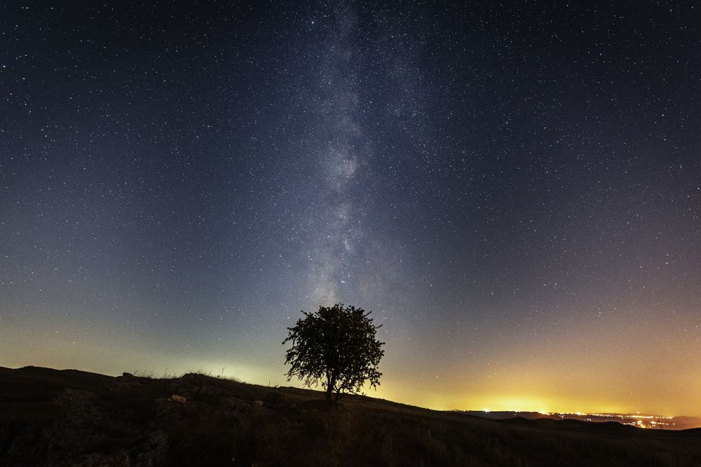 Photograph by Noureddine Belfethi