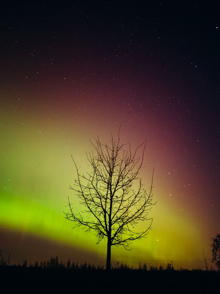 Photograph by Алиса Нежинская